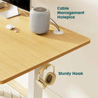 Electric Height Adjustable Standing Desk, Sit-to-Stand, Motorized Lift