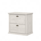 2-Drawer Vertical File Cabinet